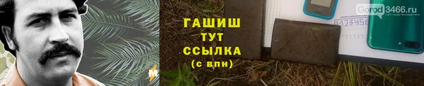 крисы Верея