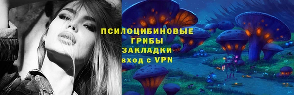 крисы Верея