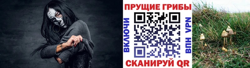 Псилоцибиновые грибы MAGIC MUSHROOMS  где продают наркотики  Ивдель 